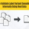 How to Validate Label Variant Consolidation Internally Using Real Data